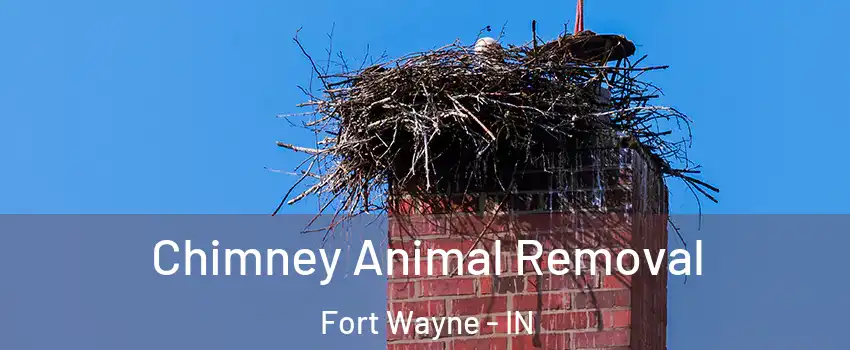  Chimney Animal Removal Fort Wayne - IN