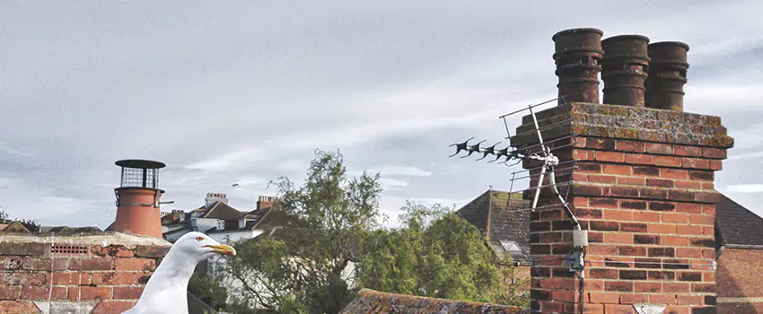 Chimney Cleaning And Restoration in Fort Wayne, Indiana