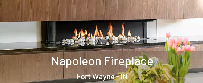  Napoleon Fireplace Fort Wayne - IN